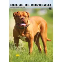 CalendarsRUs Bordeaux Dog A3 Kalender 2027