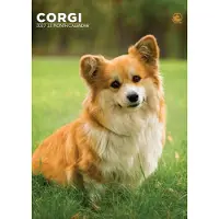 CalendarsRUs Welsh Corgi A3 Kalender 2027