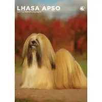 CalendarsRUs Lhasa Apso A3 Kalender 2027