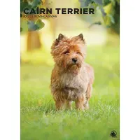 CalendarsRUs Cairn Terrier A3 Kalender 2027