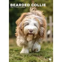 CalendarsRUs Bearded Collie A3 Kalender 2027