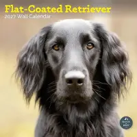 Baker & Bray Flatcoated Retriever Kalender 2027