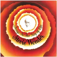 Universal Music Stevie Wonder - Songs In The Key Of Life (2 LP | 7" VINYL)