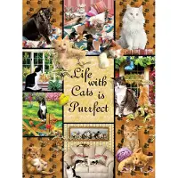 Sunsout Puzzel, Katten, 1000 stukjes, kleurrijk speelgoed