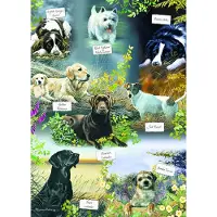 Otter House Puzzle Otter House Puzzel, Dierenpuzzel, "De beste vriend van de mens", 1000 stukjes