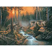 Sunsout Puzzel: Bos in de Schaduw - 1000-delige puzzel