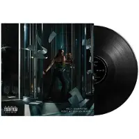 Universal Music Holly Humberstone - Paint My Bedroom Black (LP)