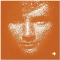 Bertus Distributie Ed Sheeran - + | LP