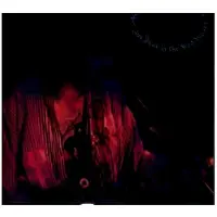 Bertus Distributie Way Down in the Rust Bucket (2CD)
