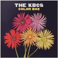 Bigwax Dis Cnt COLOR BOX