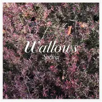 Warner - Spring (Green & Pink Coloured) (12" Vinyl)