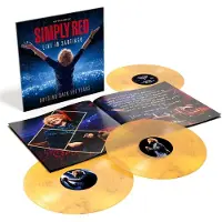 MUSIC ON VINYL Holding Back the Years: Live in Santiago