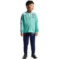 Nike FC Barcelona Strike Trainingspak 2026-2027 Kleuters Lichtgroen Donkerblauw Rood