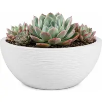 Eda Bloempot / plantenpot schaal Graphit - rond - kunststof - creme wit - D25 x H11 cm