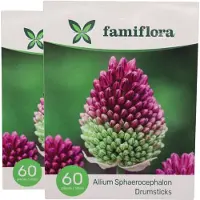 Famiflora Allium sphaerocephalon 5/6 - 2 x 60 - 120 bloembollen - Elegante kogelvormige bloemen die je tuin direct verfijnd en levendig maken