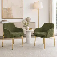 OKWISH Eetkamerstoel 61 x 59 x 78,5 cm - Set Van 2 Met Armleuningen - Verstelbare Voetdoppen Voor Eetkamer En Keuken - Stof En Metaal - Groen