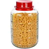 Alessandro XXL voedsel opslag container - glas - 10 liter - afsluitdop en hengsel - transparant/rood - Weckpotten - Opslagpotten - 22 x 35 cm