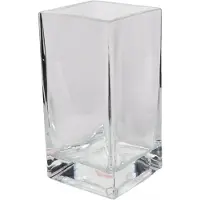 Edwanex Glazen Vierkante Vaas 10x10x20cm - Stijlvolle Decoratie