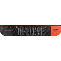 Target Raymond van Barneveld Throw Line
