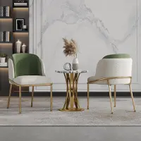 Flieks Ergonomische eetkamerstoelen, set van 2, met schuine poten, verstelbare voeten, gestoffeerde stoelen, keukenstoel, 55x55x85 cm, groen + goud