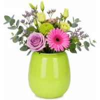 Plume Living Vaas Amelie - glans limoen groen - D18 x H20 cm - glas - bloemenvaas - voor stelen en boeketten
