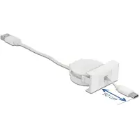 DeLOCK Easy 45 Module USB 2.0 Retractable Cable USB Type-A to USB Type-C white