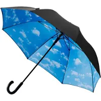 Falcone - Paraplu - Ø 120 cm - Automaat - Windproof - Lucht & Wolken