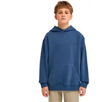 Element Cornell 3.0 Hoodie