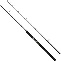 Dam Iconic2 Sw Boat Spinning Rod Zilver 1.80 m / 100-250 g