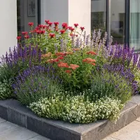 Green Boutiq - Vasteplant - Borderpakket - Geurend - Diversen - Soorten en kleuren - 12 Planten - Pot 11cm - Hoogte 15-25cm