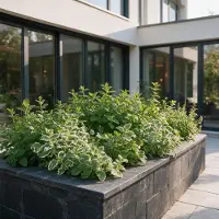 Green Boutiq - Vasteplant - Borderpakket - Theekruiden - Diversen - Soorten en kleuren - 12 Planten - Pot 11cm - Hoogte 15-25cm