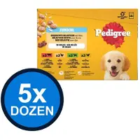 Pedigree 5x - Pouch Junior Gelei Mix Sel Multipack (12x100g) - Hondenvoer Natvoer - 1.2 kg
