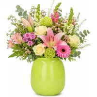 Plume Living Vaas Amelie - glans limoen groen - D22 x H25 cm - glas - bloemenvaas - voor stelen en boeketten
