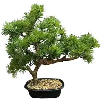 Buitengewoon Boet Kunstplant Bonsai Pine Tree - 33 cm