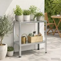 vidaXL Planttafel 60 x 40 x 80 cm Gegalvaniseerd staal zilver