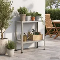 vidaXL Planttafel 80 x 40 x 80 cm Roestvrij staal zilver