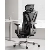Famanu – Ergonomische bureaustoel met verstelbare 2D lendensteun, hoofdsteun en armleuningen, 135° kanteling, zwart met voetensteun