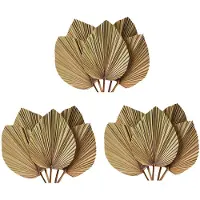 ISTOVO Dried Leaves Room Decor 15 Pieces - 18Inch H x 10Inch W Large Natural Leaf Decor for A Beautiful Boho