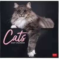 Legami Katten Kalender 2027