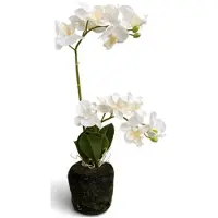 Oosterik Home Orchidee wit in pot H 38 cm kunstplant