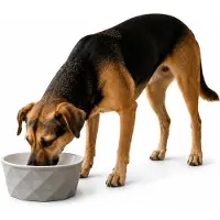 Belviona Keramische voerbak hond, antislip & vaatwasserbestendig, 1100 ml mat donkergrijs/lichtgrijs
