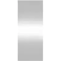 vidaXL Wandspiegel 40x100 cm rechthoekig glas