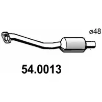 ASSO 54.0013 Katalysator