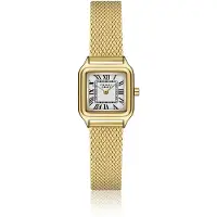 Frederic Graff herenhorloge