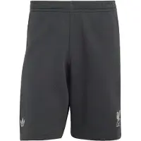 Adidas Broek 'Lfc Teamgeist 26' antraciet
