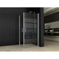 Wiesbaden dubbele swingdeur uni 1000x1000x2000 chr.8 mm nano