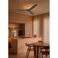 Create - Plafondventilator stil 40W (Ø132cm) - Sfeerlicht LED - Afstandsbediening - 6 snelheden - Programmeerbaar - WIND CALM CUSTOM RATTAN