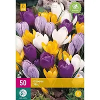 Jub holland - bloembollen - Krokus/Crocus Grootbloemig Mix - maat 7/8 - 30 stuks