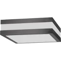 Rabalux - Plafondlamp / Wandlamp voor buiten - Antraciet kleur