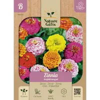 Baltus Zinnia Confetti mengsel bloemenzaad Nature Gifts